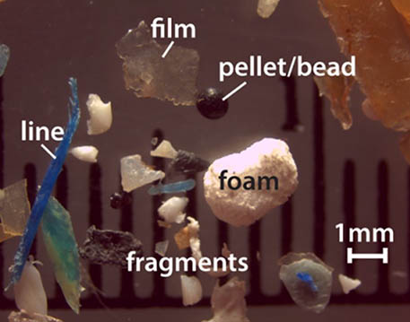 Microscopic images of assorted microplastic particles.