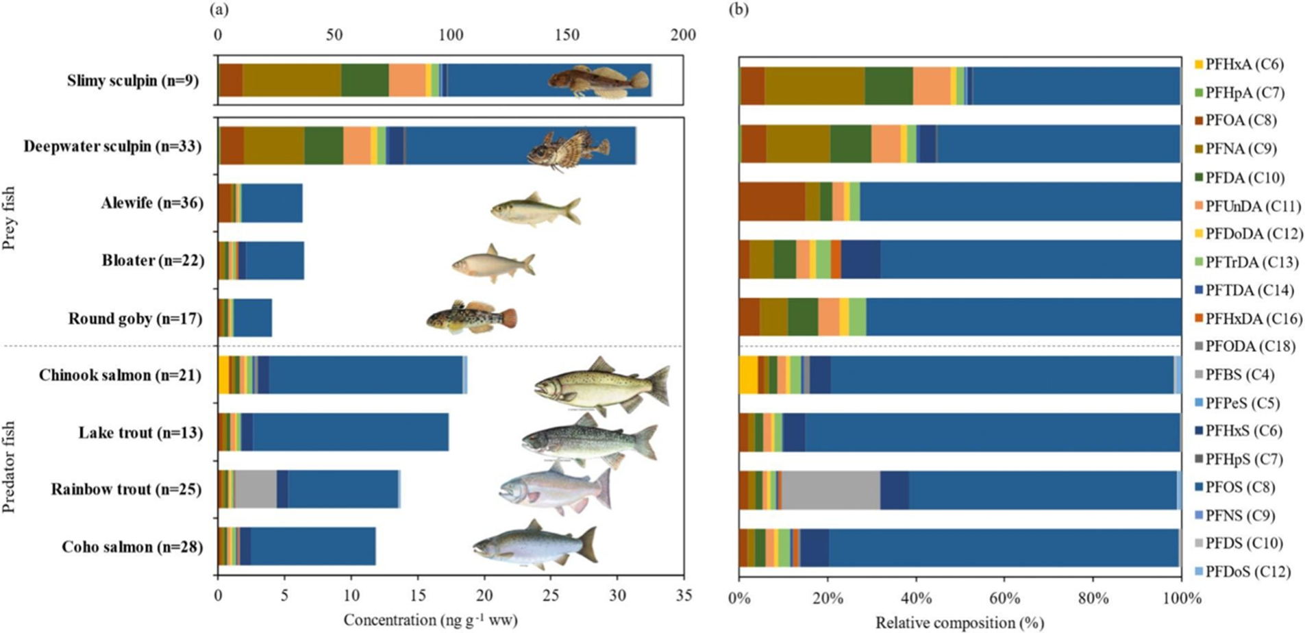 graph showing PFAS in different fish species